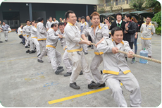 香港六盒宝典资料大全